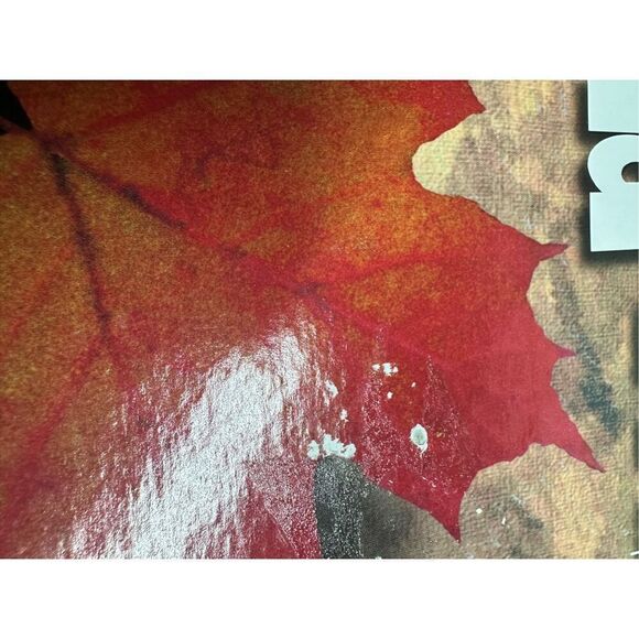 The Canadian Trivia Board game 130th anniversary - Picture 9 of 10